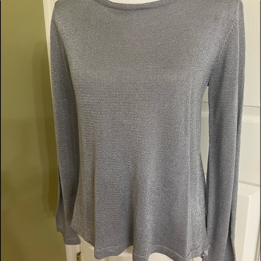 Beautiful Glitter Blouse